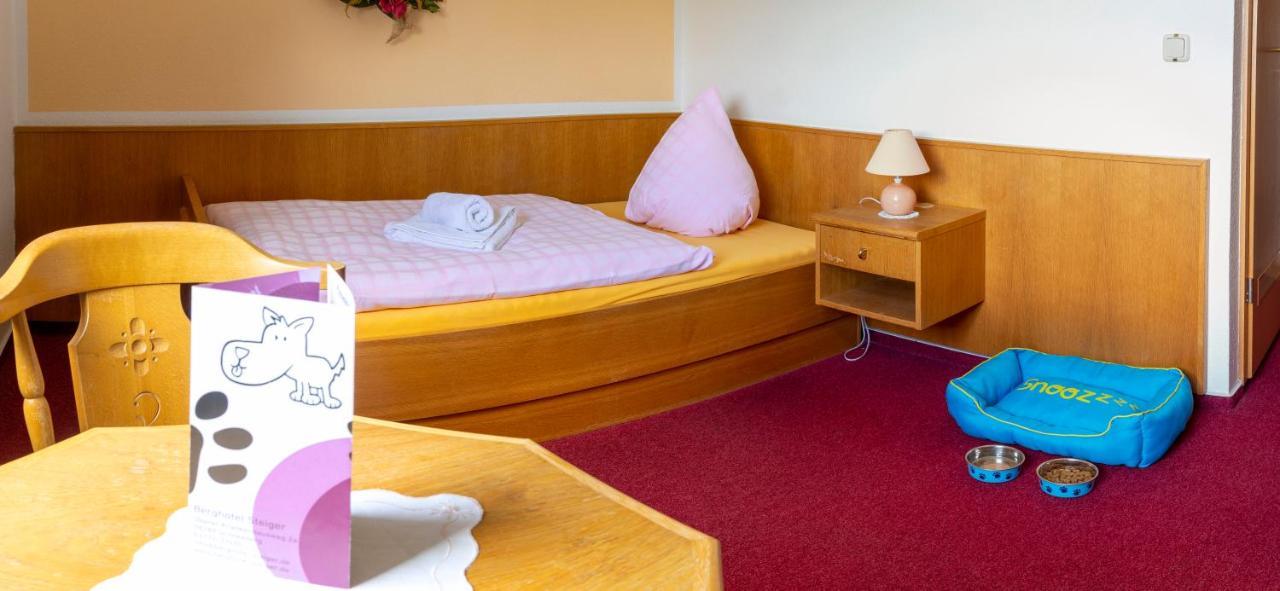 Berghotel Steiger - Erzgebirge Шнееберг Екстериор снимка